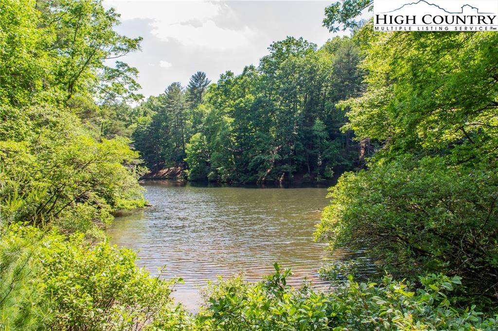 53-acres Deer Run Road Deep Gap, NC 28618 - Photo 3 of 18 Gallery Image 3