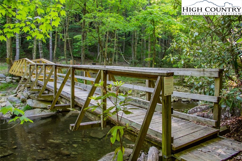 53-acres Deer Run Road Deep Gap, NC 28618 - Photo 8 of 18 Gallery Image 8