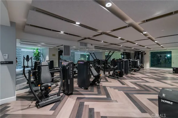 a view of a garden with potted plants