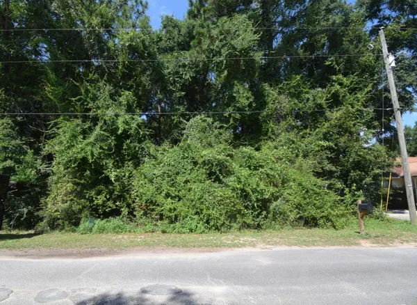 a view of a yard with plants