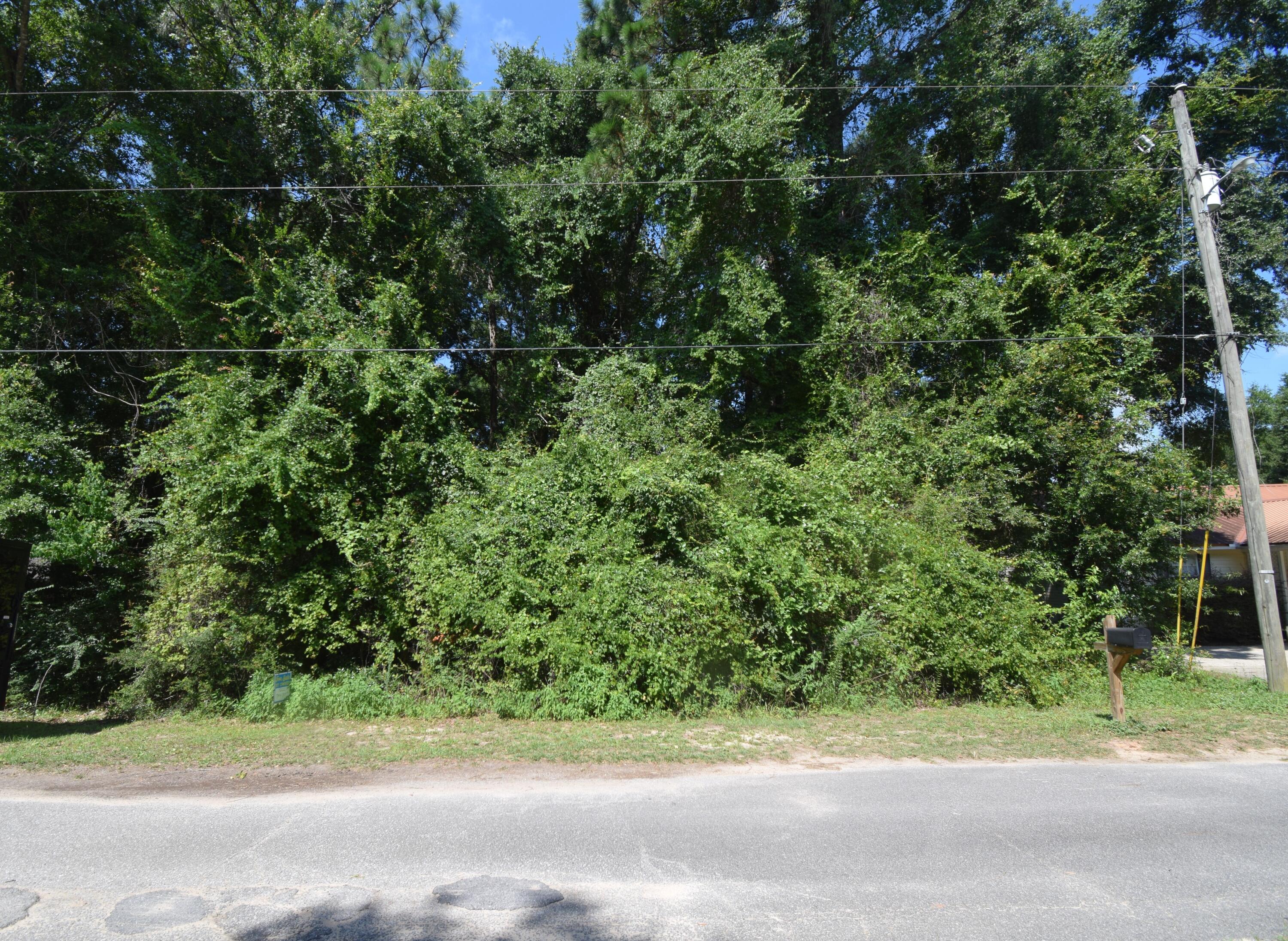 Lot 20 Winchester Way Crestview, FL 32539 - Photo 4 of 6 a view of a yard