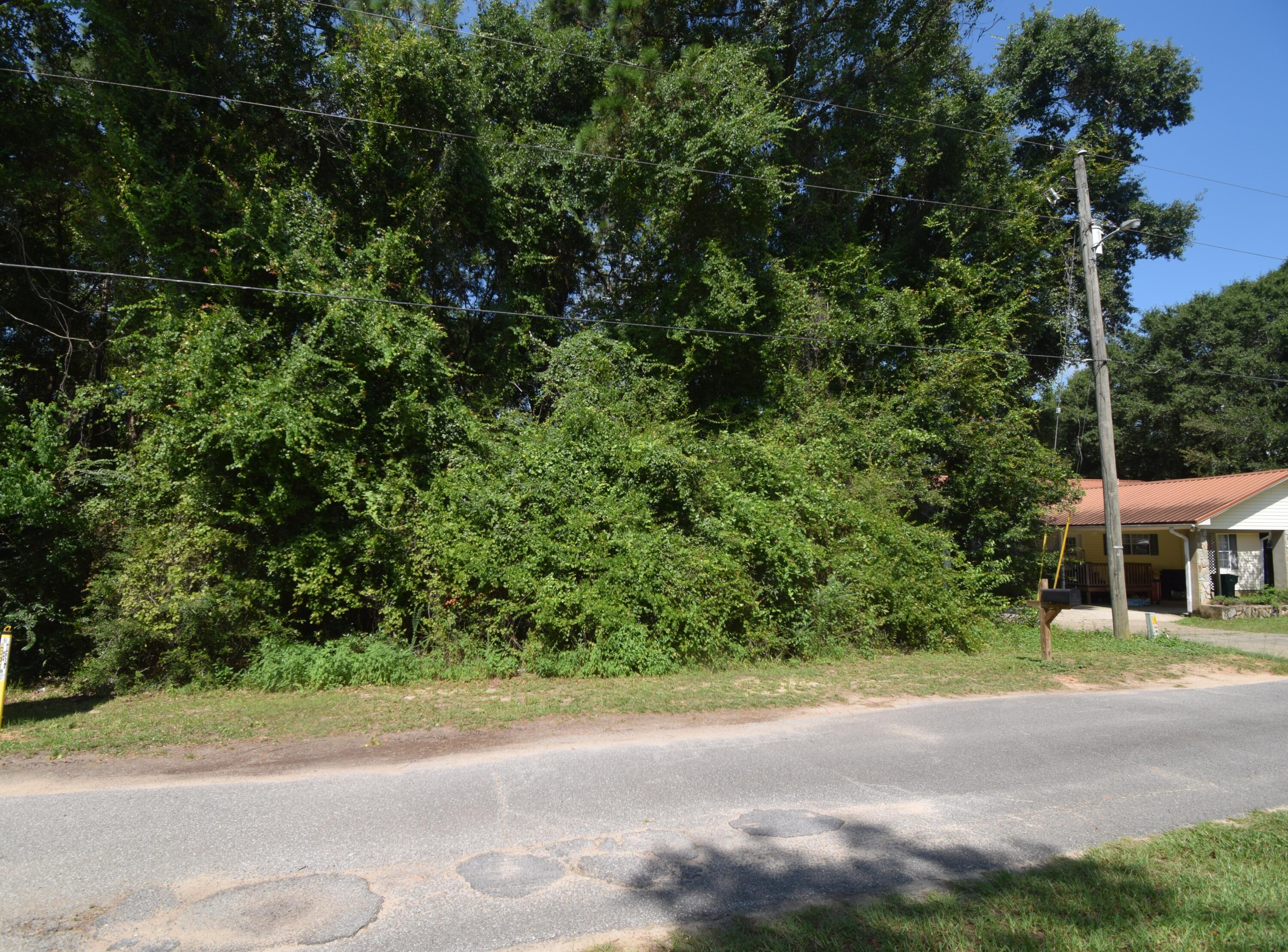 Lot 20 Winchester Way Crestview, FL 32539 - Photo 5 of 6 a view of a yard with plants