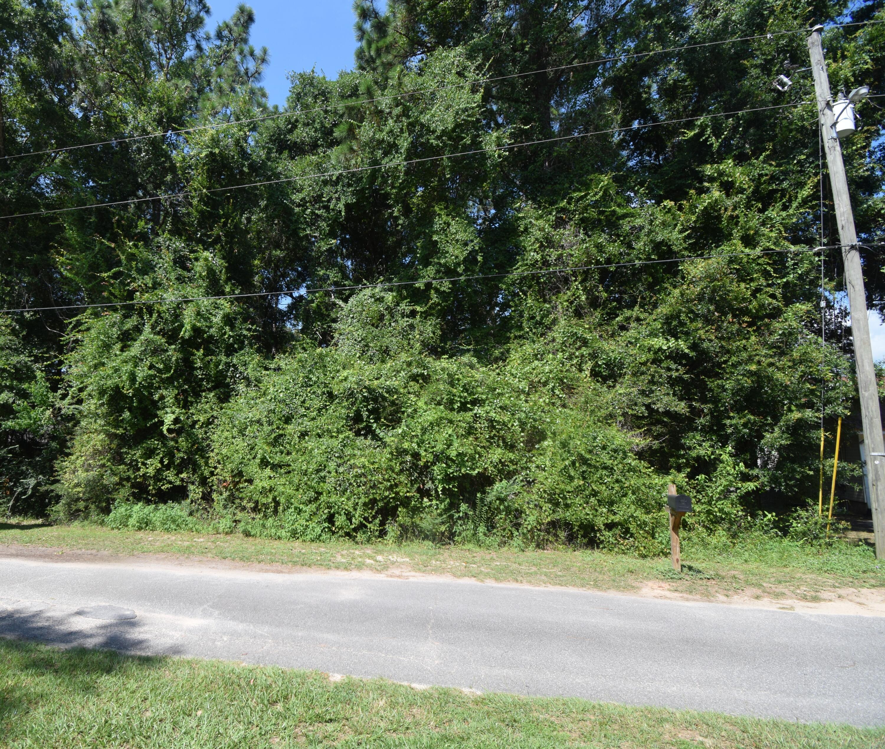 Lot 20 Winchester Way Crestview, FL 32539 - Photo 6 of 6 a view of a yard with plants and trees