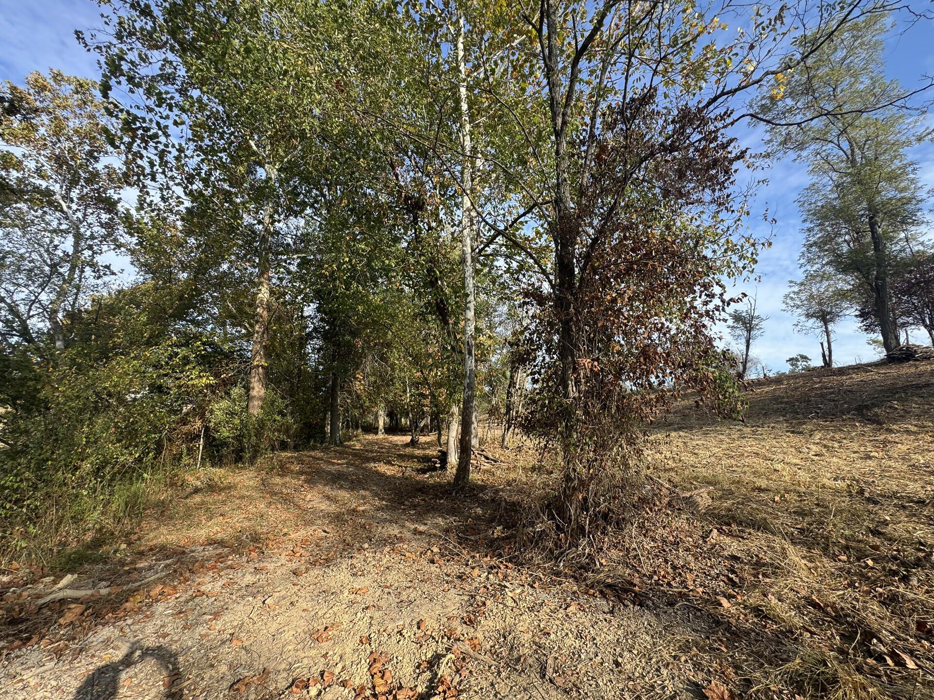 413 Gallipolis Road, Unit CLEARVIEW POND) Oak Hill, OH 45656 - Photo 60 of 88 CT-60