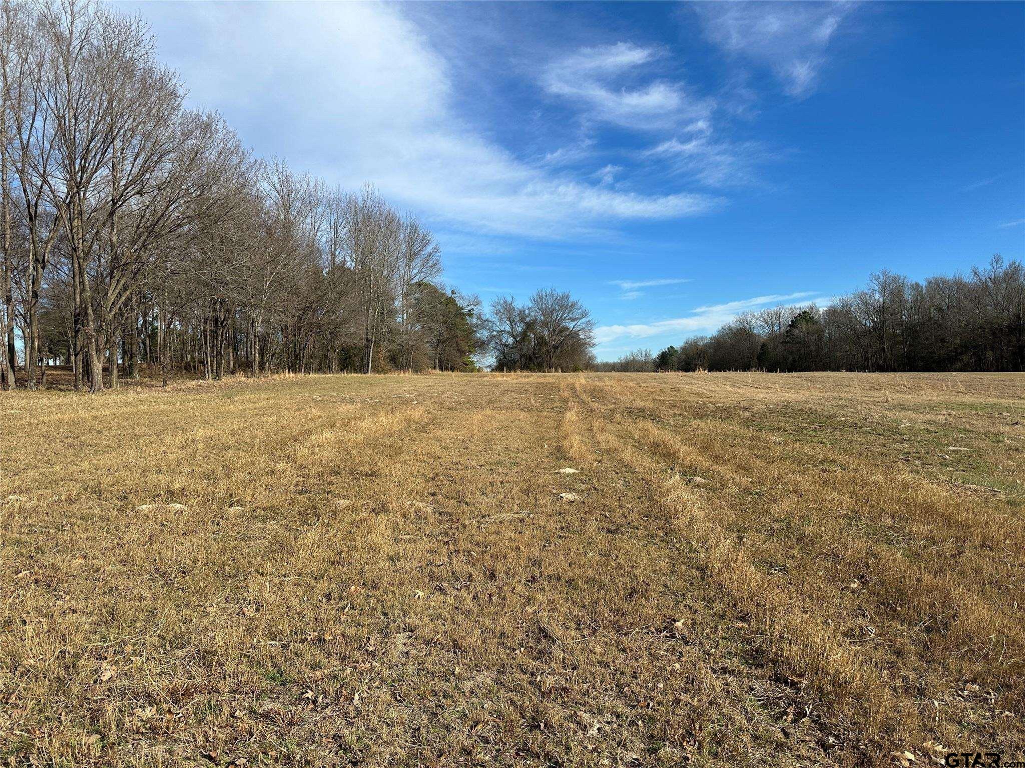 0 Fm 2948 Como, TX 75431 - Photo 4 of 8