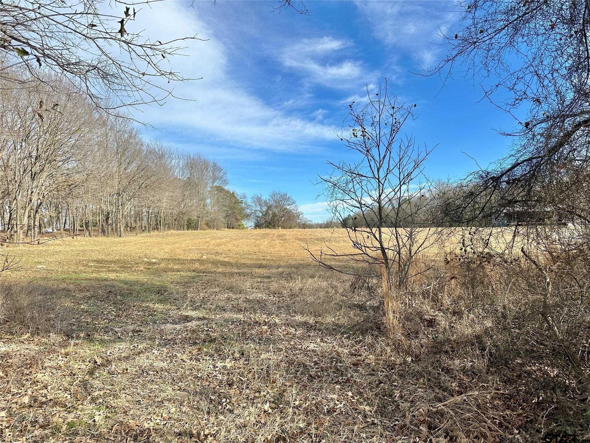 0 Fm 2948 Como, TX 75431 - Photo 7 of 8