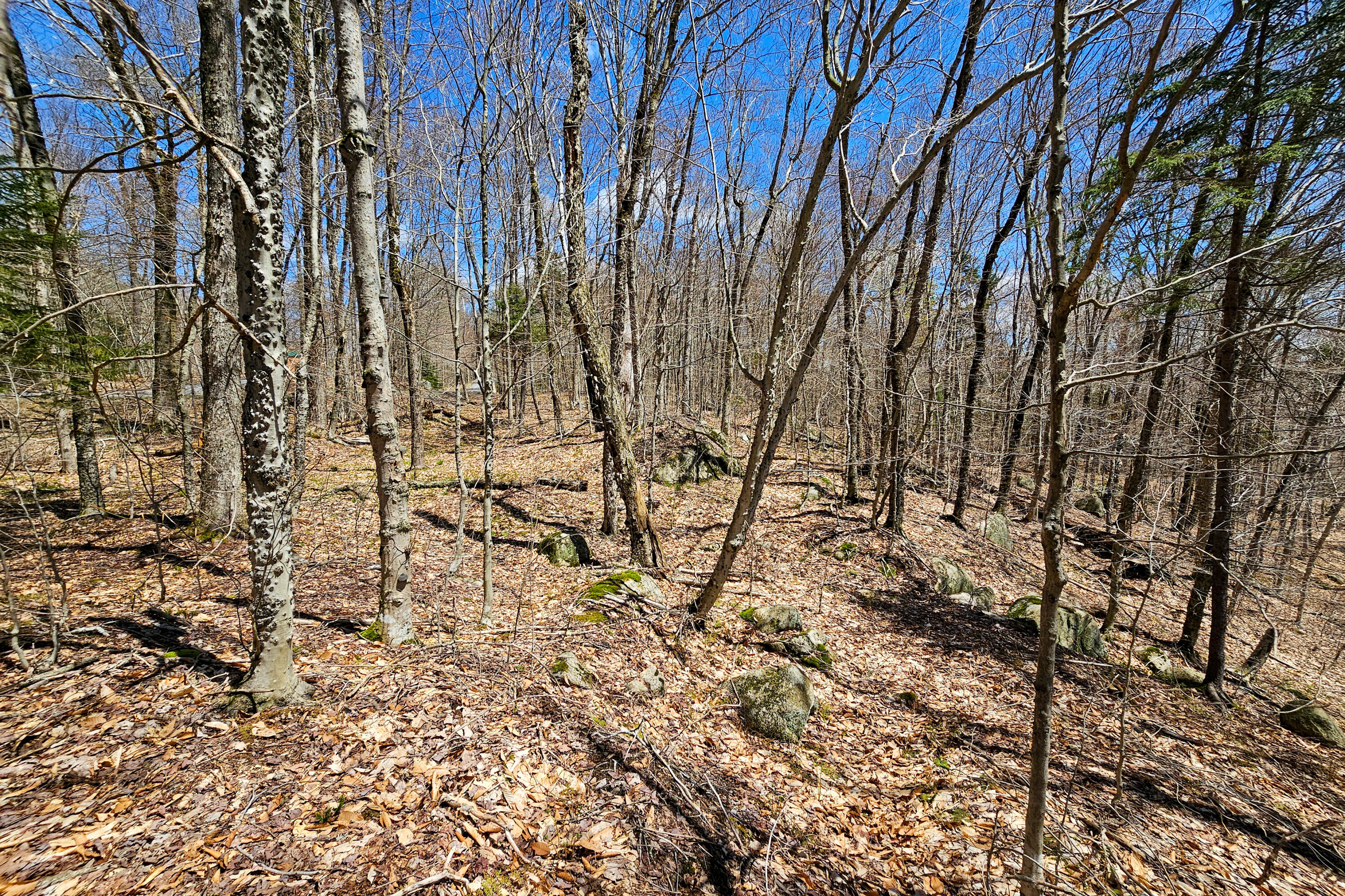 0 Palisades Road West Old Forge, NY 13420 - Photo 9 of 15 2.68 Acres