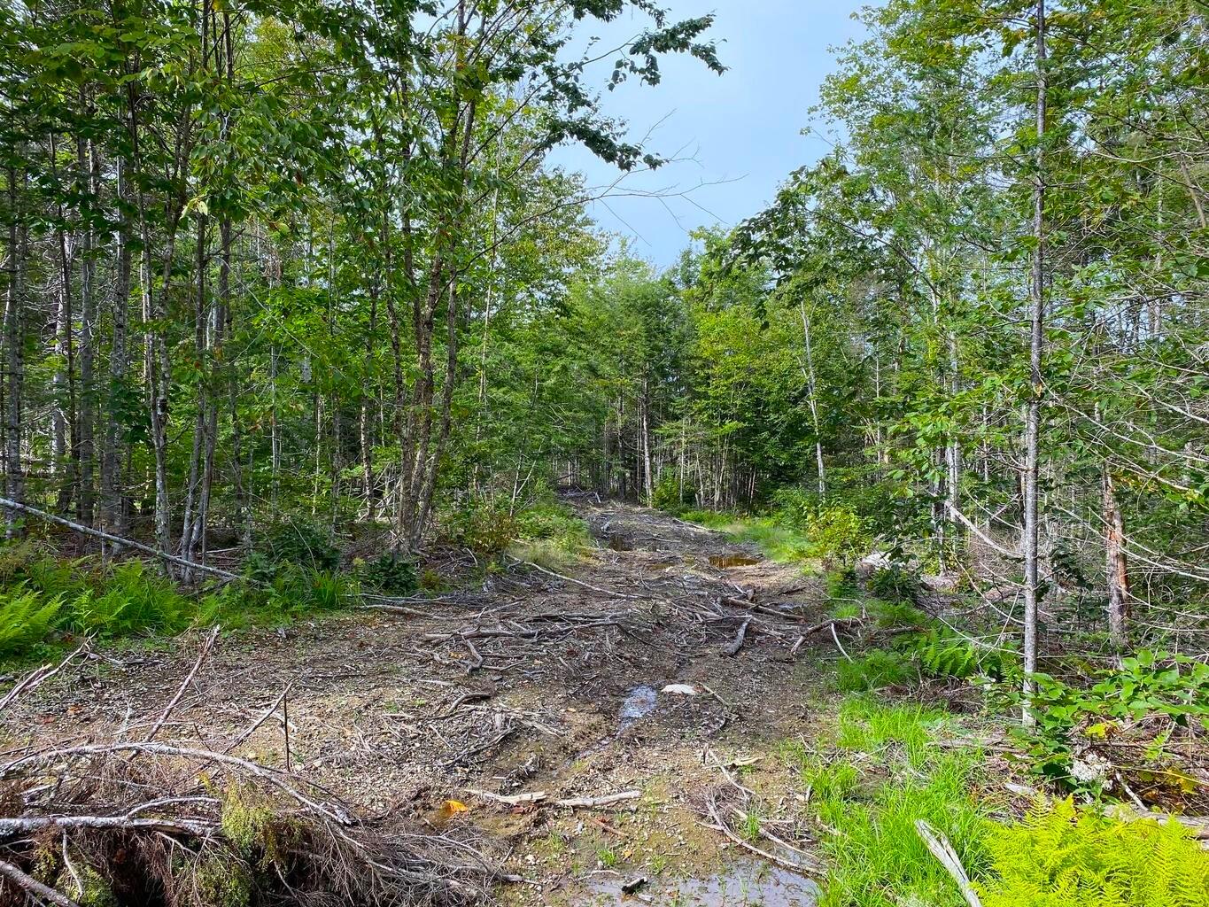 Lot128 C Love Lake Road Crawford, ME 04694 - Photo 1 of 16 View of Lot