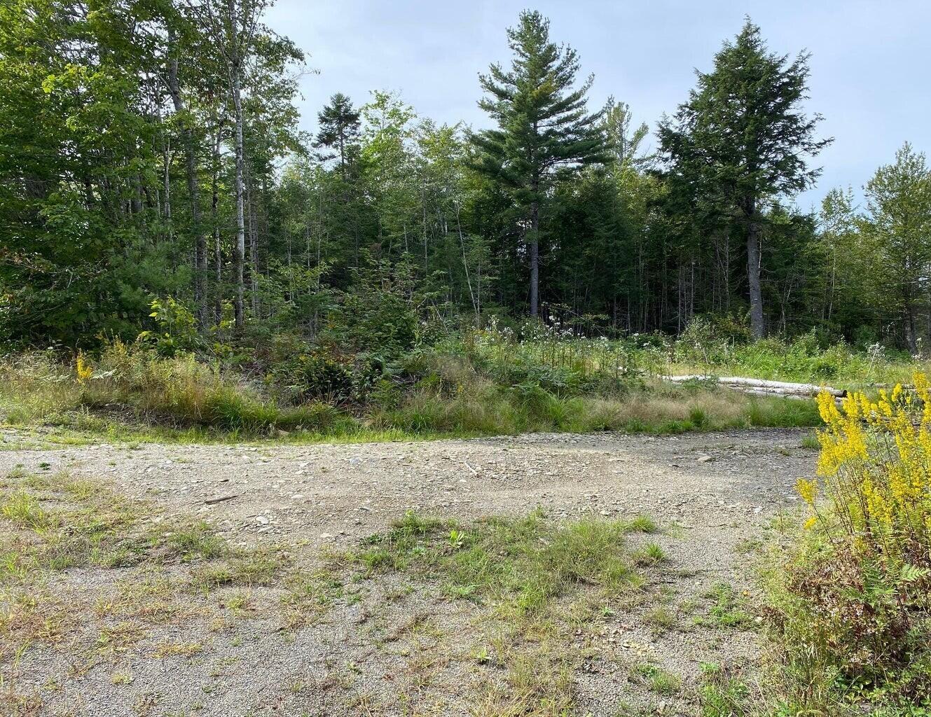 Lot128 C Love Lake Road Crawford, ME 04694 - Photo 4 of 16 Partial Driveway on Lot