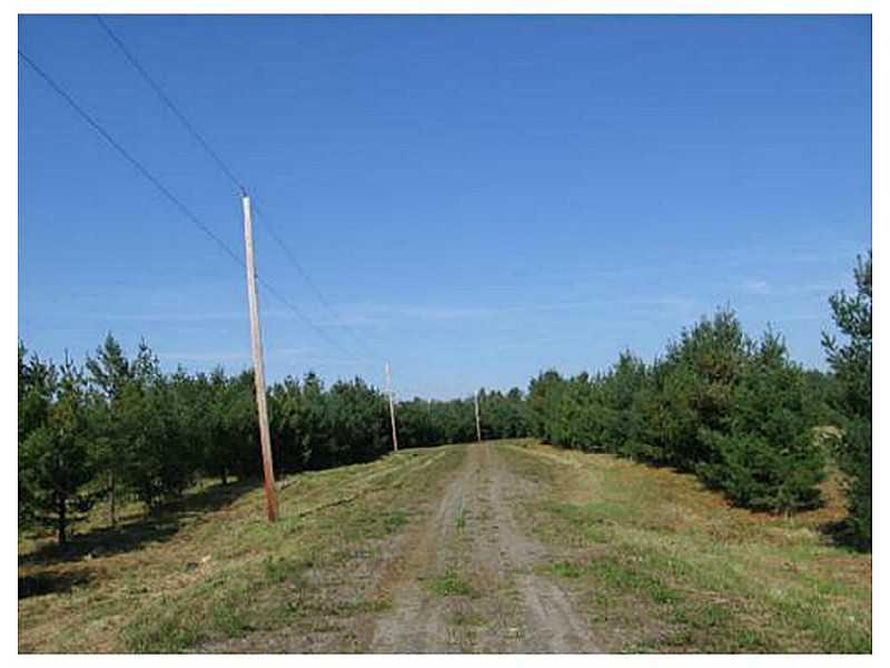 Lot 14-8 Rome Road Mercer, ME 04957 - Photo 17 of 24 Land.