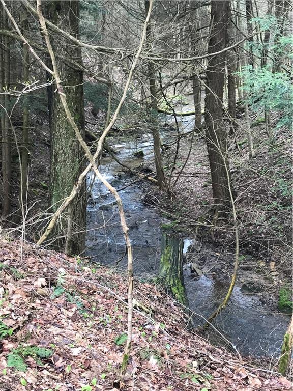 168 Cole Road Sandy Lake, PA 16145 - Photo 23 of 25