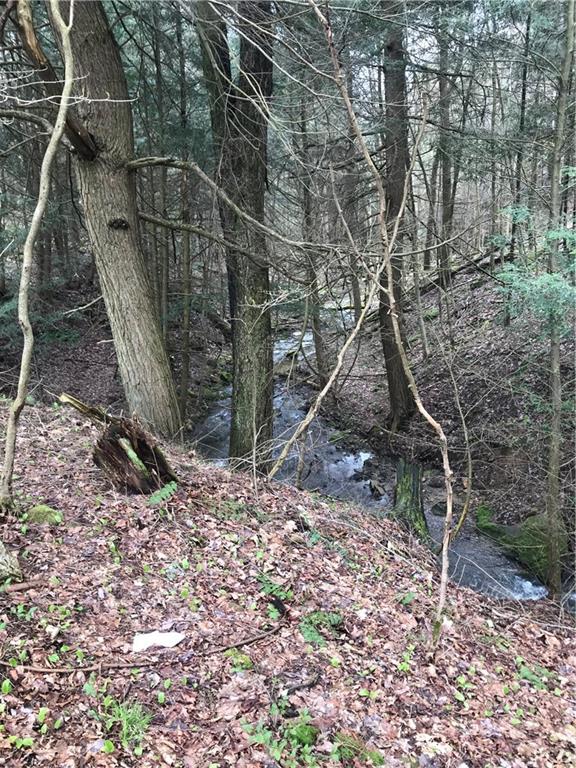 168 Cole Road Sandy Lake, PA 16145 - Photo 24 of 25