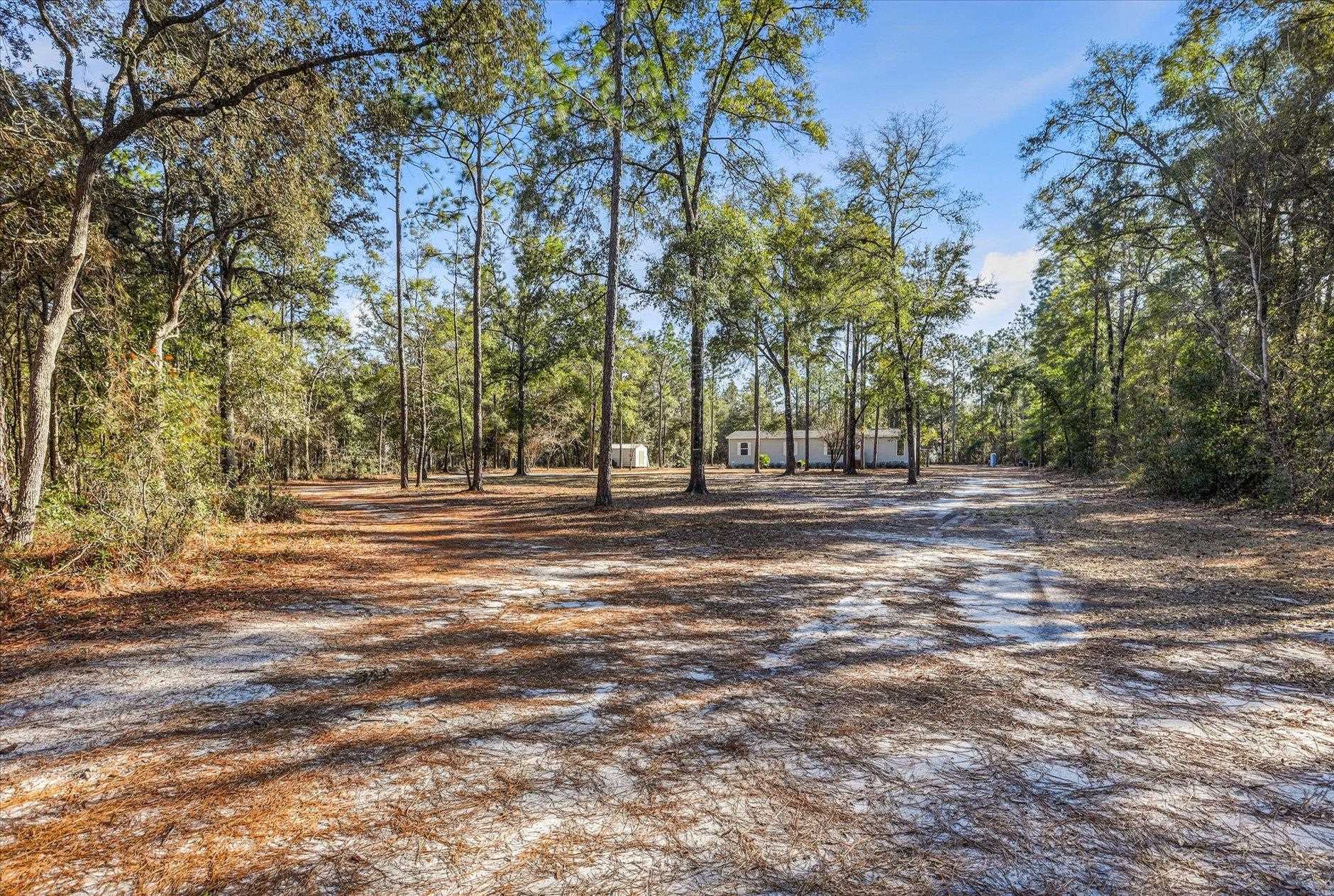 961 Hassell Road Tallahassee, FL 32305 - Photo 6 of 45 Gallery Image 6