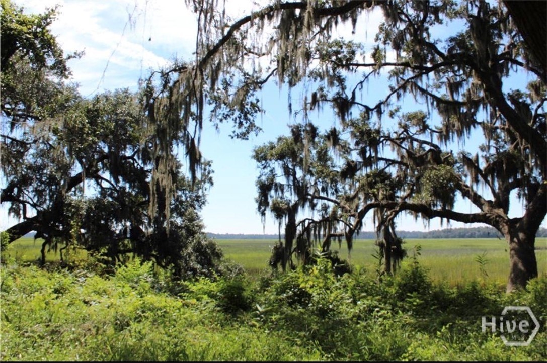 353 Main Street Midway, GA 31320 - Photo 2 of 10