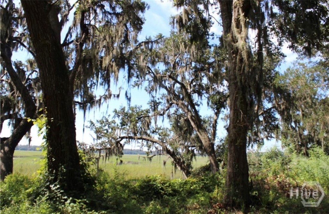 353 Main Street Midway, GA 31320 - Photo 3 of 10