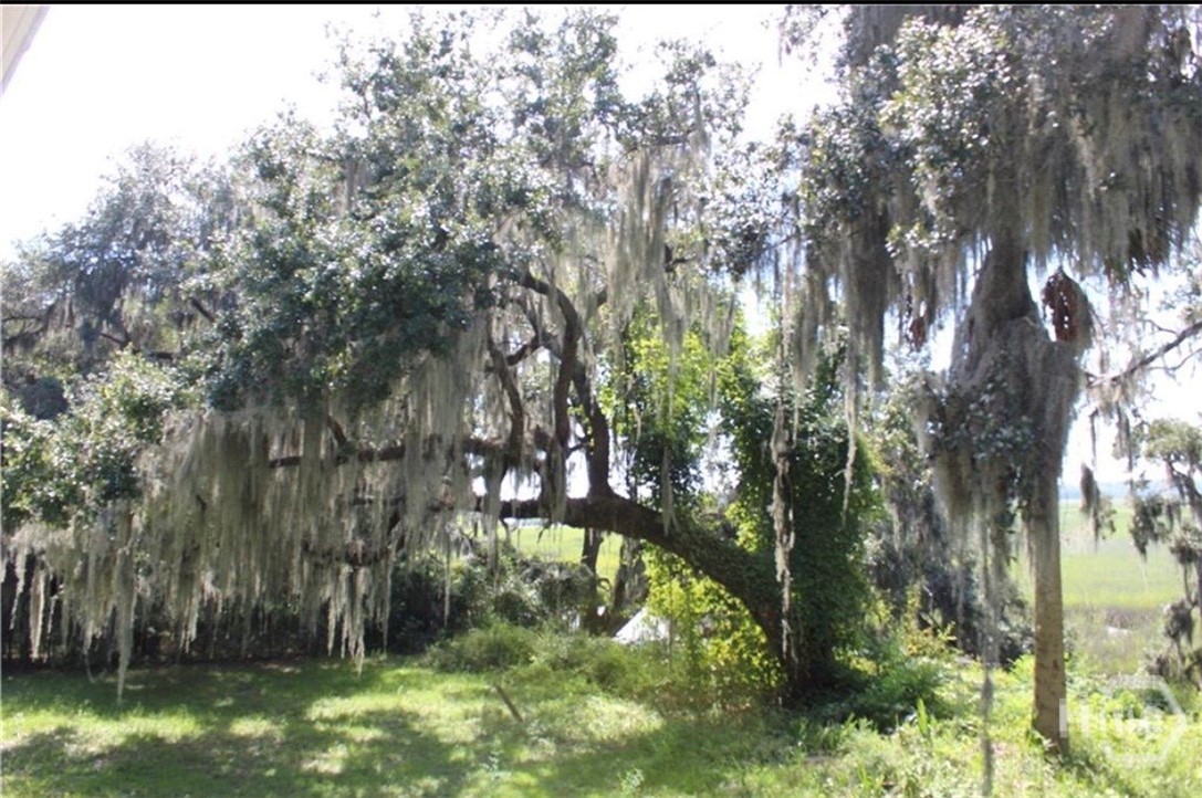 353 Main Street Midway, GA 31320 - Photo 4 of 10