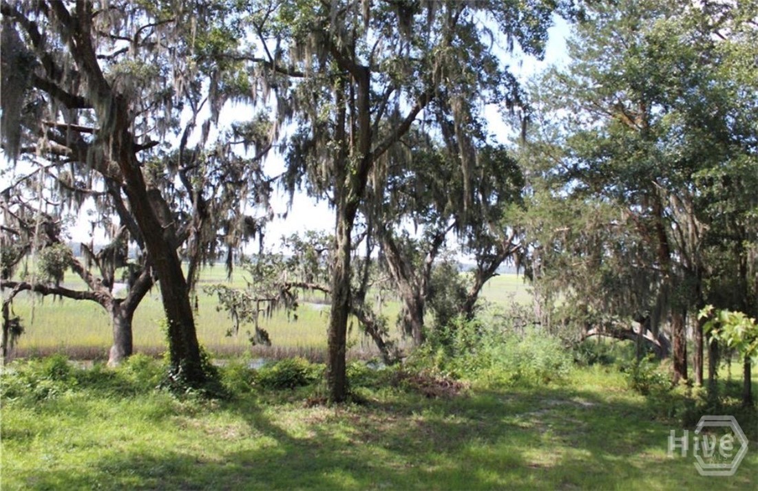 353 Main Street Midway, GA 31320 - Photo 5 of 10