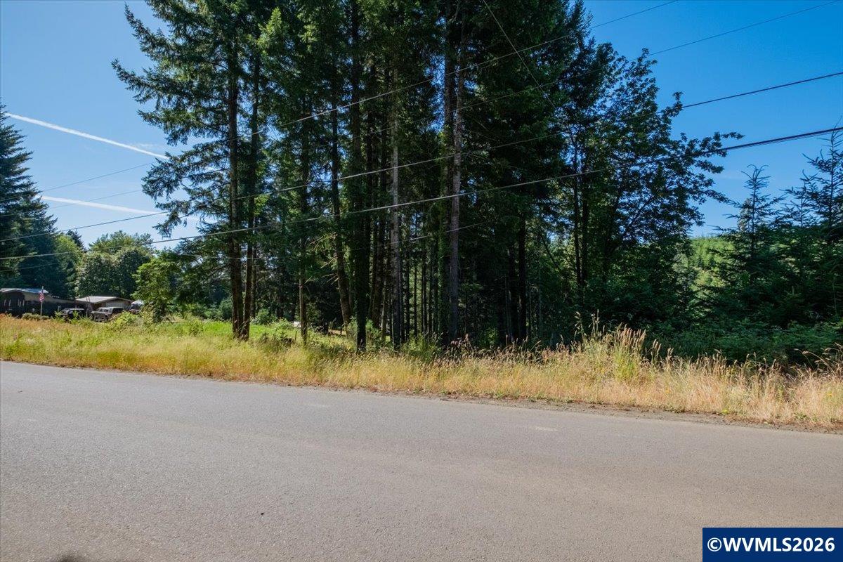432 Chamberlain Road Falls City, OR 97344 - Photo 25 of 26
