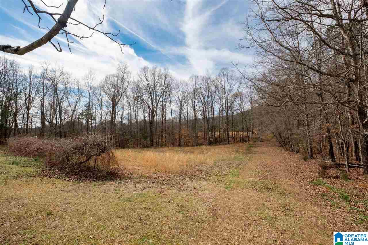 1295 Crawford Cove Road Springville, AL 35146 - Photo 24 of 27