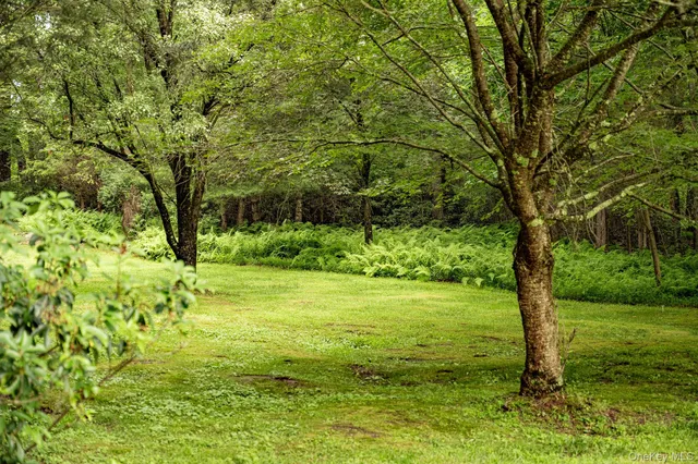 a view of a garden with a tree