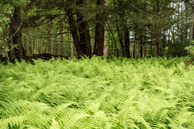 a view of statue in the garden