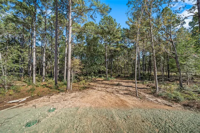 a view of outdoor space and trees