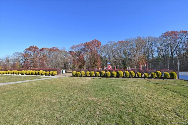 a view of a field with trees in the background