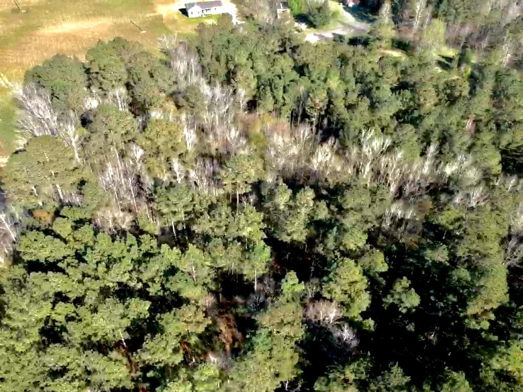 4113 Hillman Gay Road Dearing, GA 30808 - Photo 10 of 17