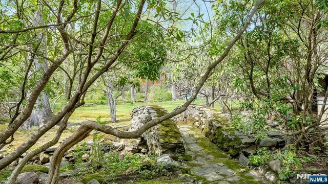 a view of a yard with plants and large trees
