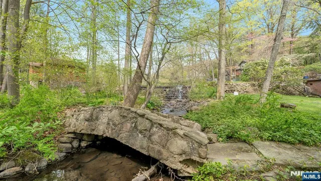 a view of a backyard with large trees