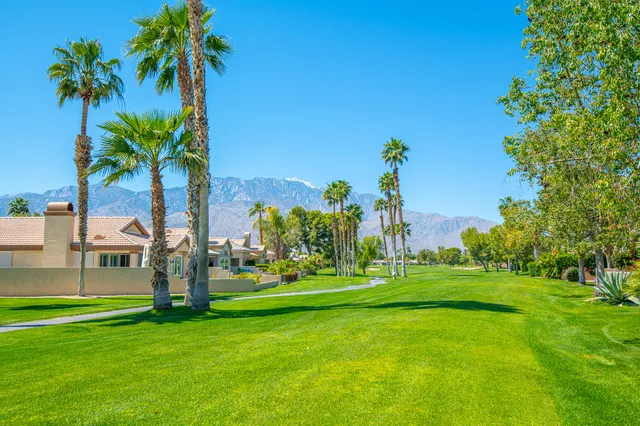 a view of a park with palm trees