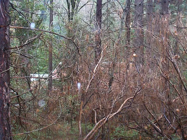 $269,000 | 20550 Grizzly Creek Road, Nevada City, CA 95959