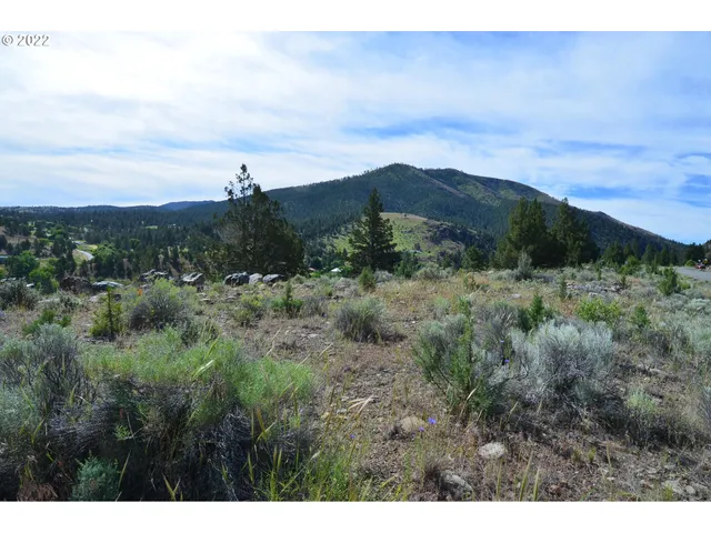 $45,000 | 216 Elk View Drive, Canyon City, OR 97820