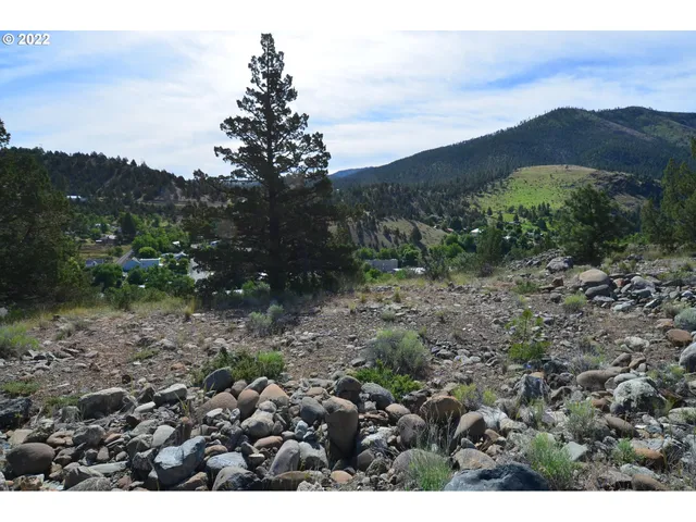 $45,000 | 216 Elk View Drive, Canyon City, OR 97820