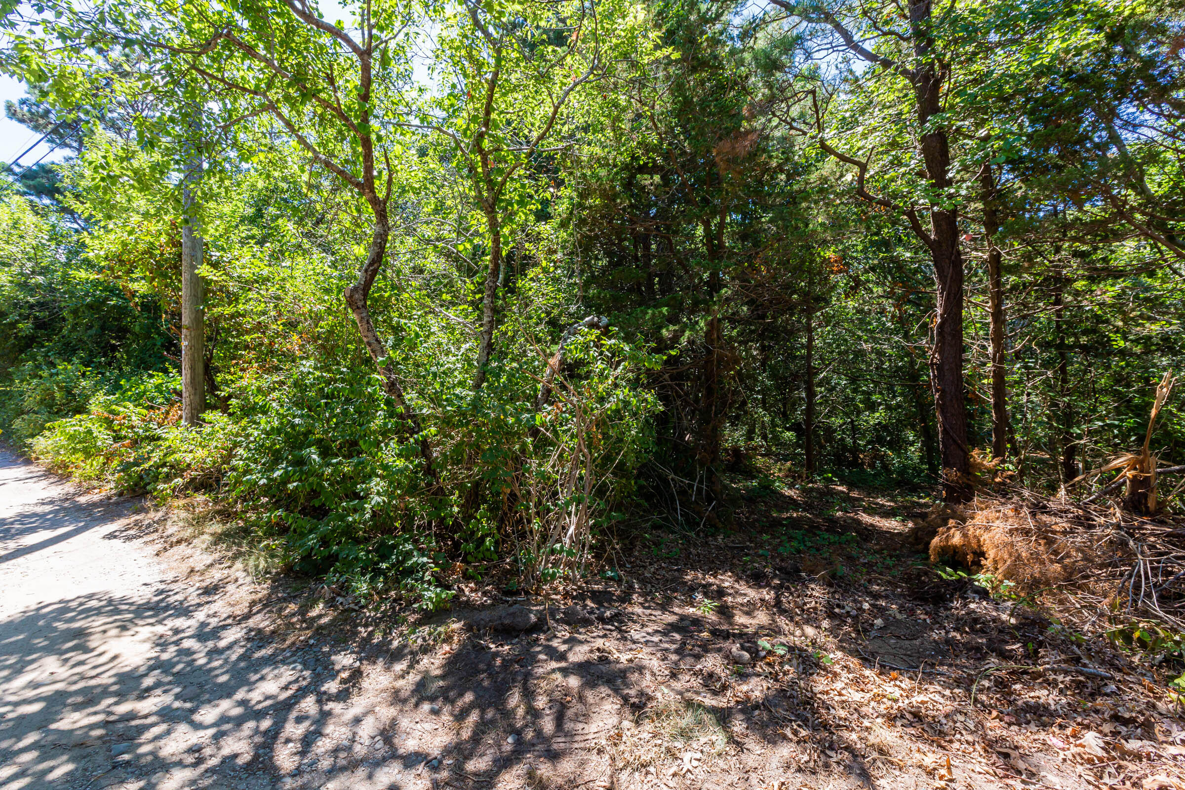 0 Partridge Circle Brewster, MA 02631 - Photo 8 of 19 a view of a forest with trees in the background