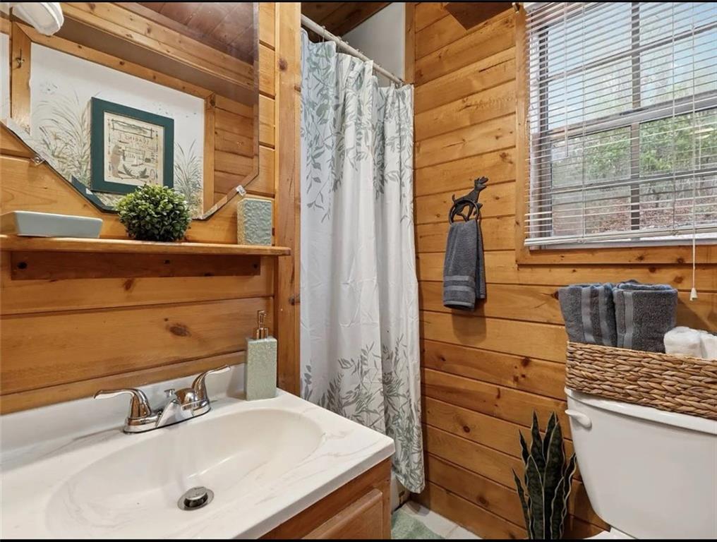 265 Wits End Way Cherry Log, GA 30522 - Photo 11 of 15 a bathroom with a sink and a mirror