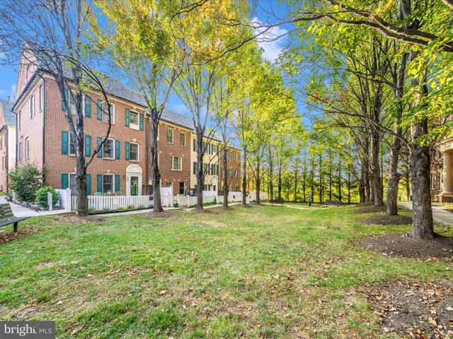 a view of a park with large trees