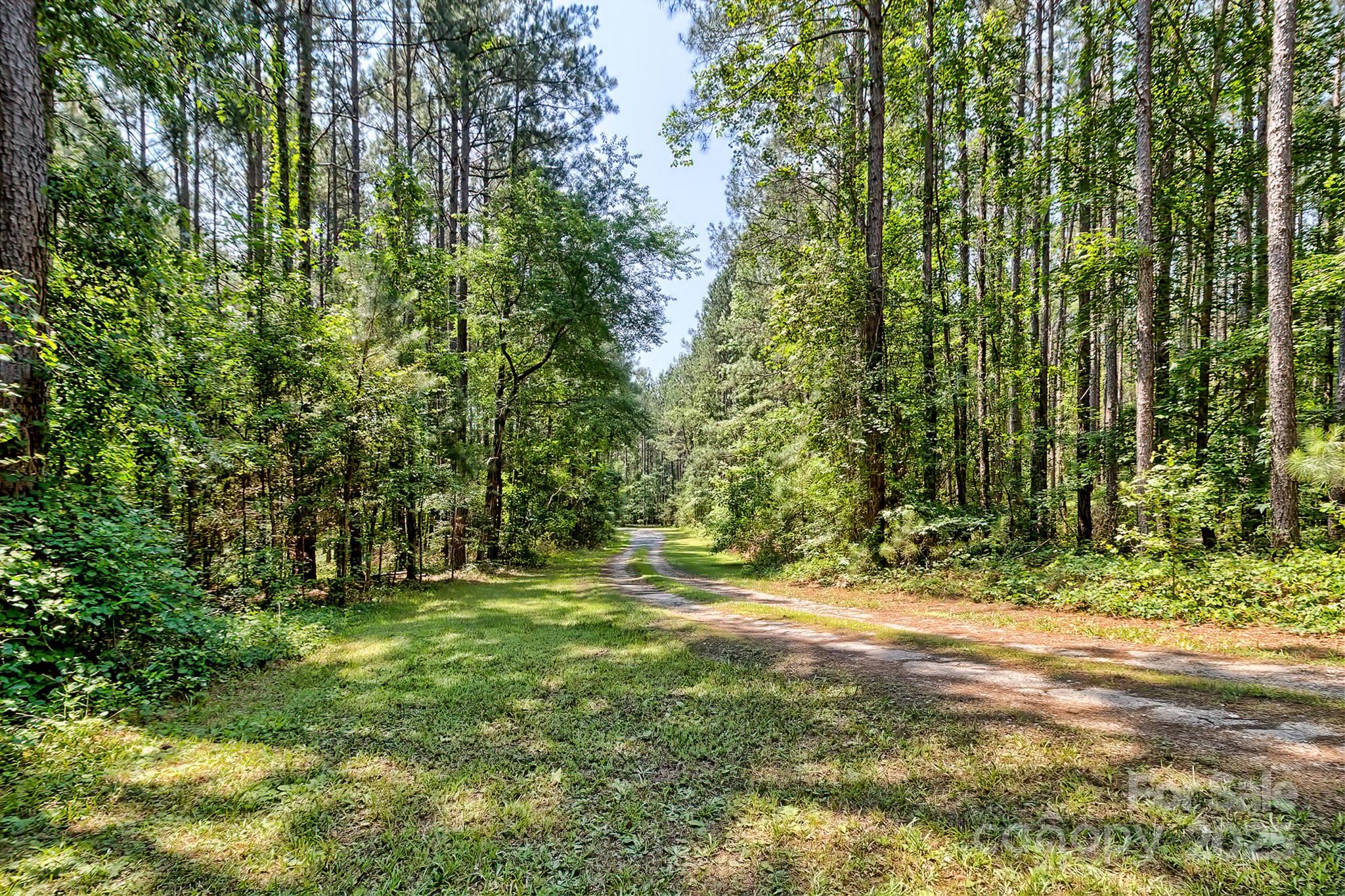 6268 Hope Road Winnsboro, SC 29180 - Photo 48 of 48 a view of outdoor space with trees