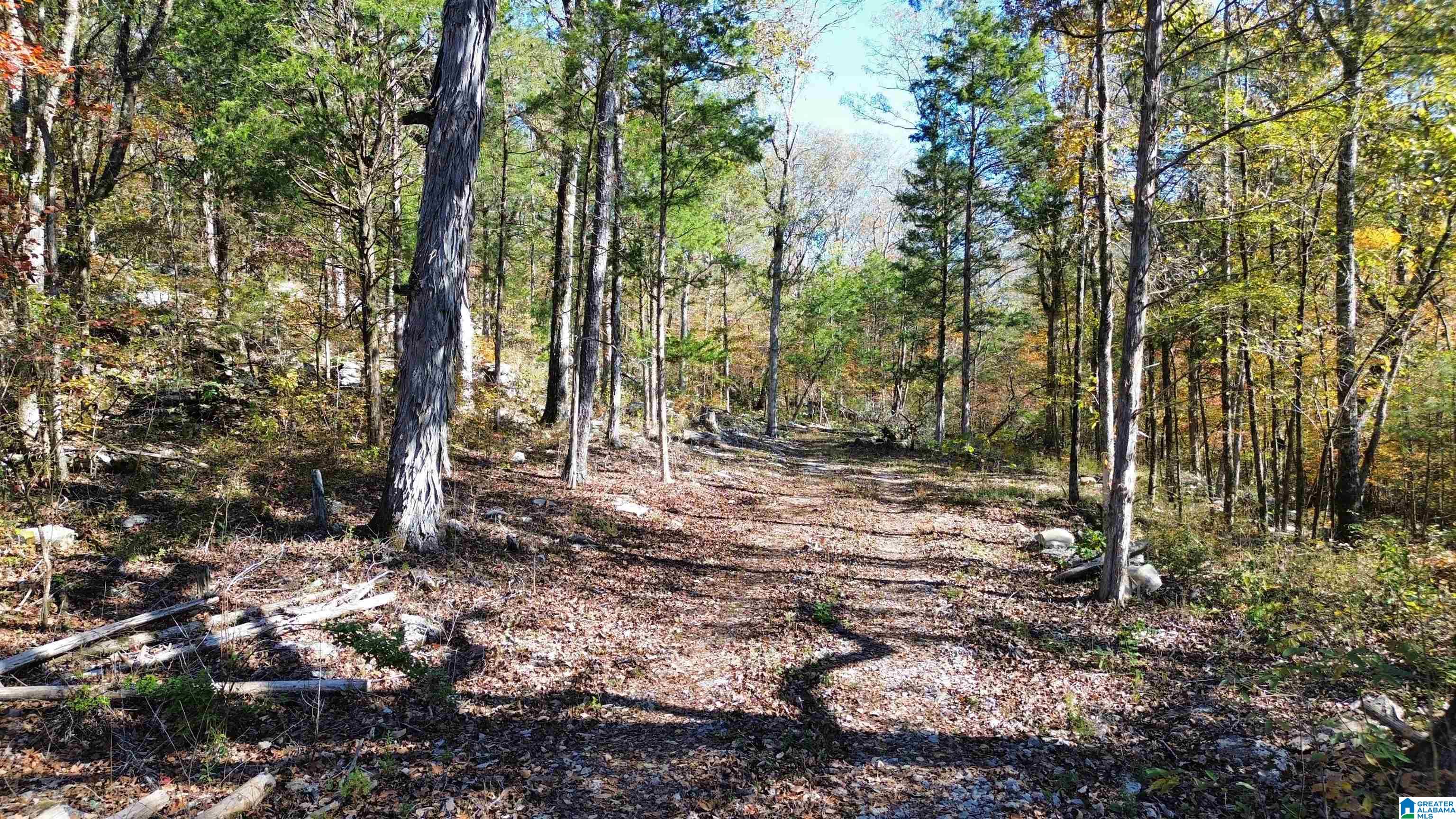 0 Mill Creek Road, Unit 20 Warrior, AL 35180 - Photo 13 of 17