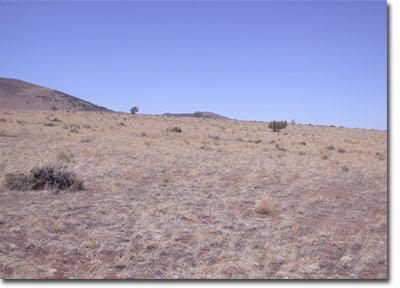 44 Alpine Ranch Flagstaff, AZ 86004 - Photo 1 of 1 Primary Photo