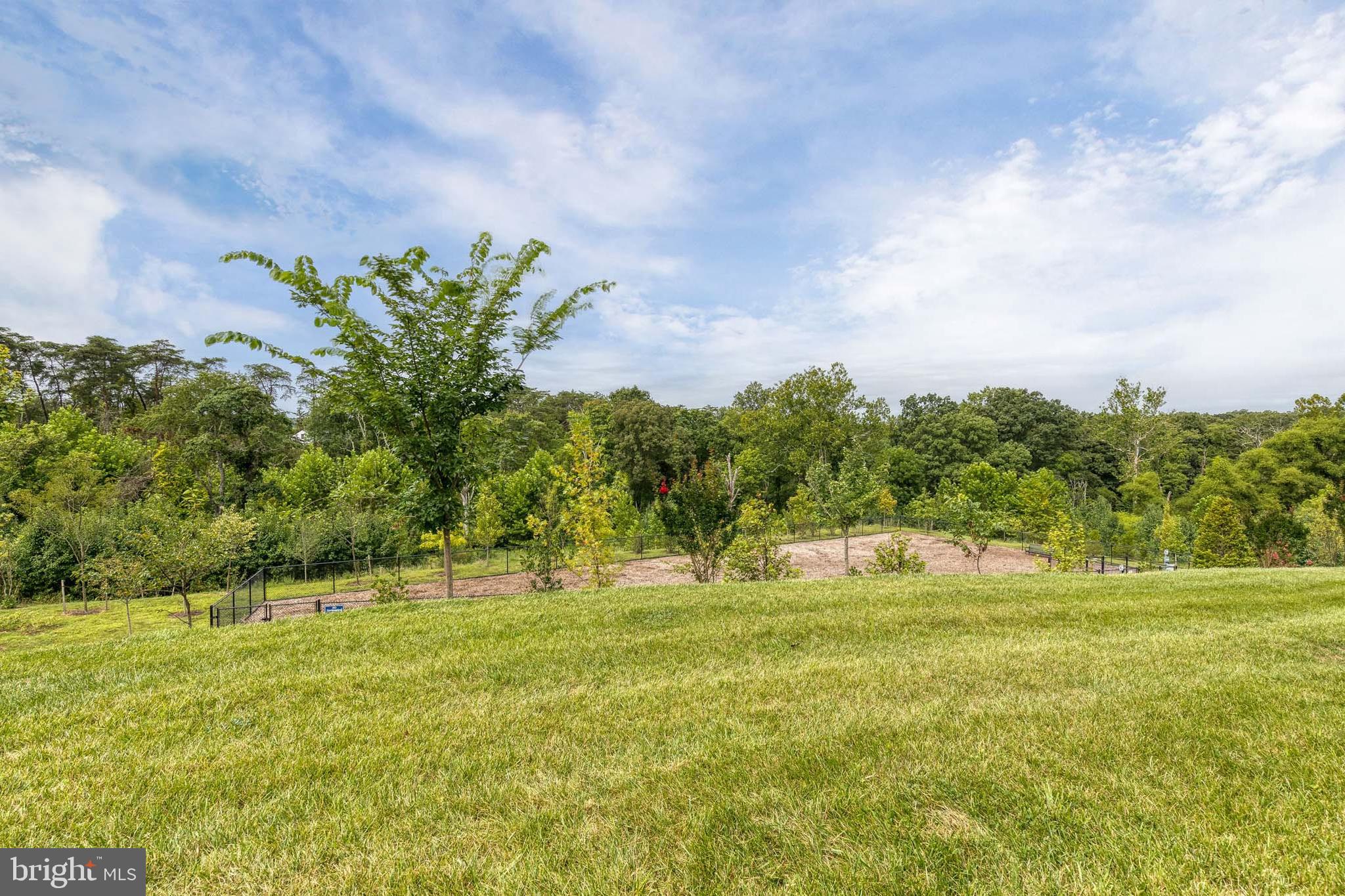 2008 Ivory Brook Road Baltimore, MD 21244 - Photo 33 of 35 a large yard with lots of green space and house in the back