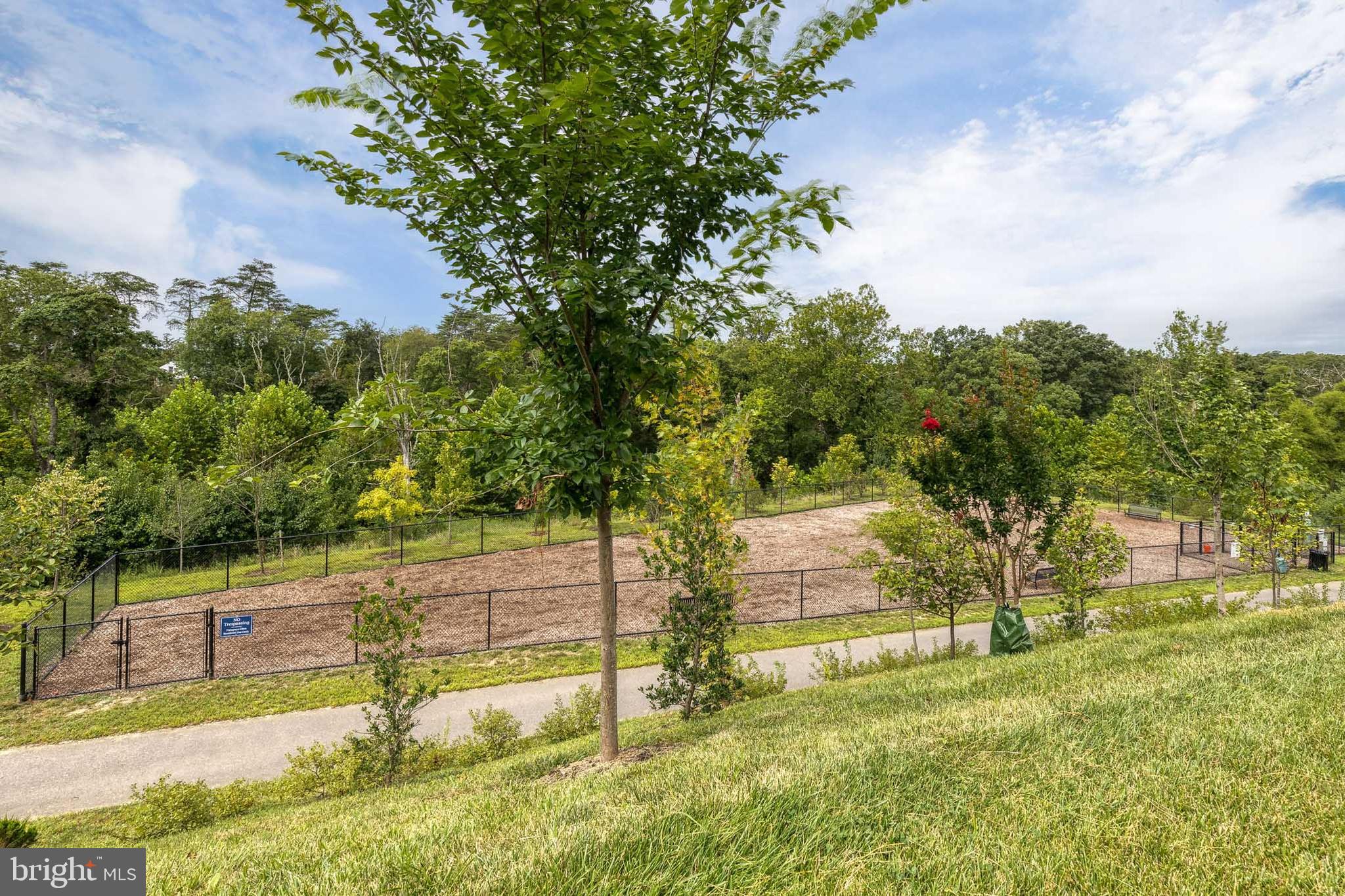 2008 Ivory Brook Road Baltimore, MD 21244 - Photo 34 of 35 a view of yard