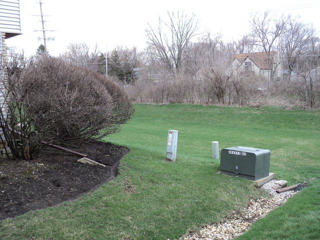 623 Northgate Road, Unit 623 New Lenox, IL 60451 - Photo 3 of 9 a backyard of a house with lots of green space