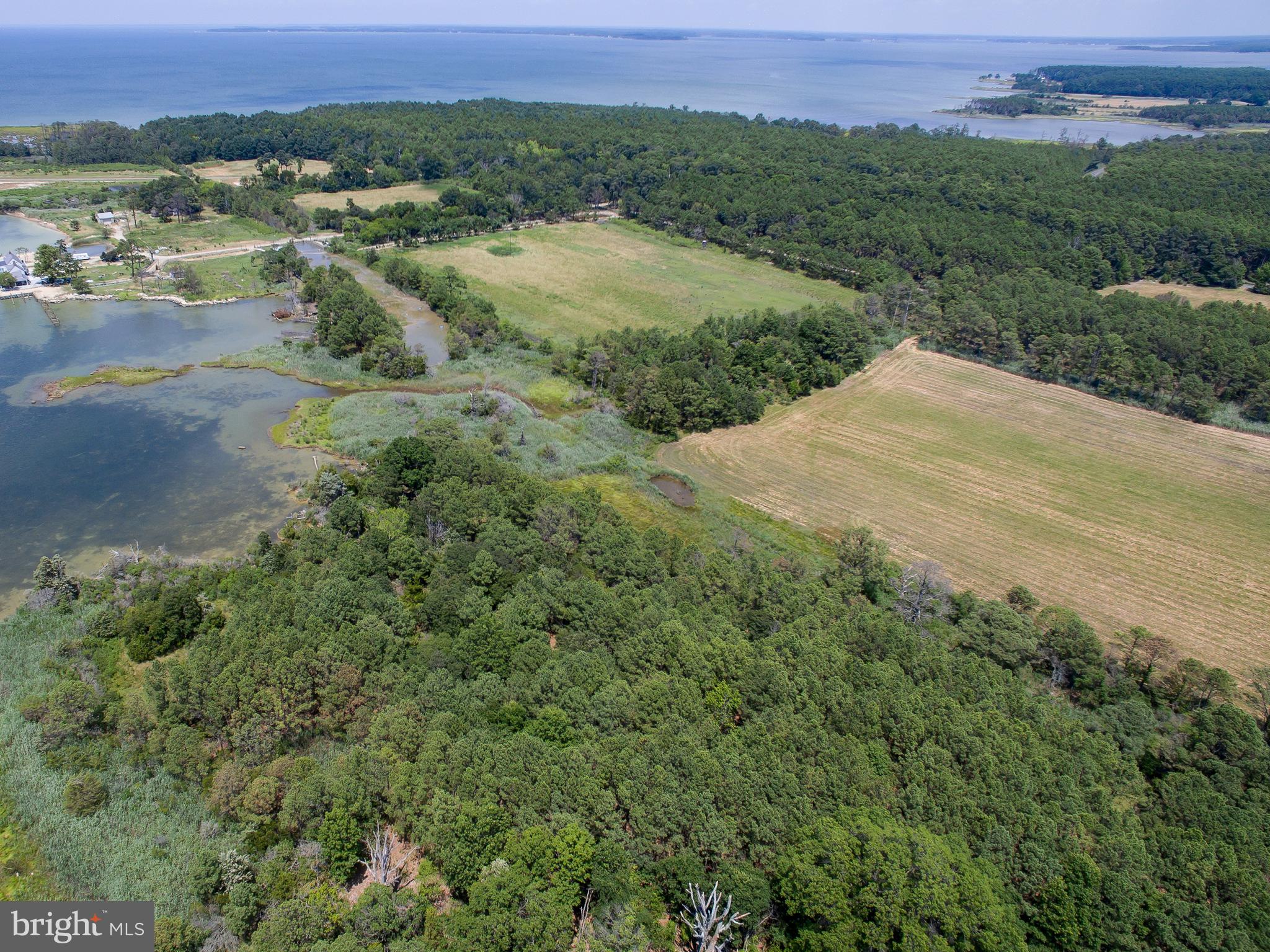Hoopers Neck Road Taylors Island, MD 21669 - Photo 12 of 28 a view of a yard with a lake view