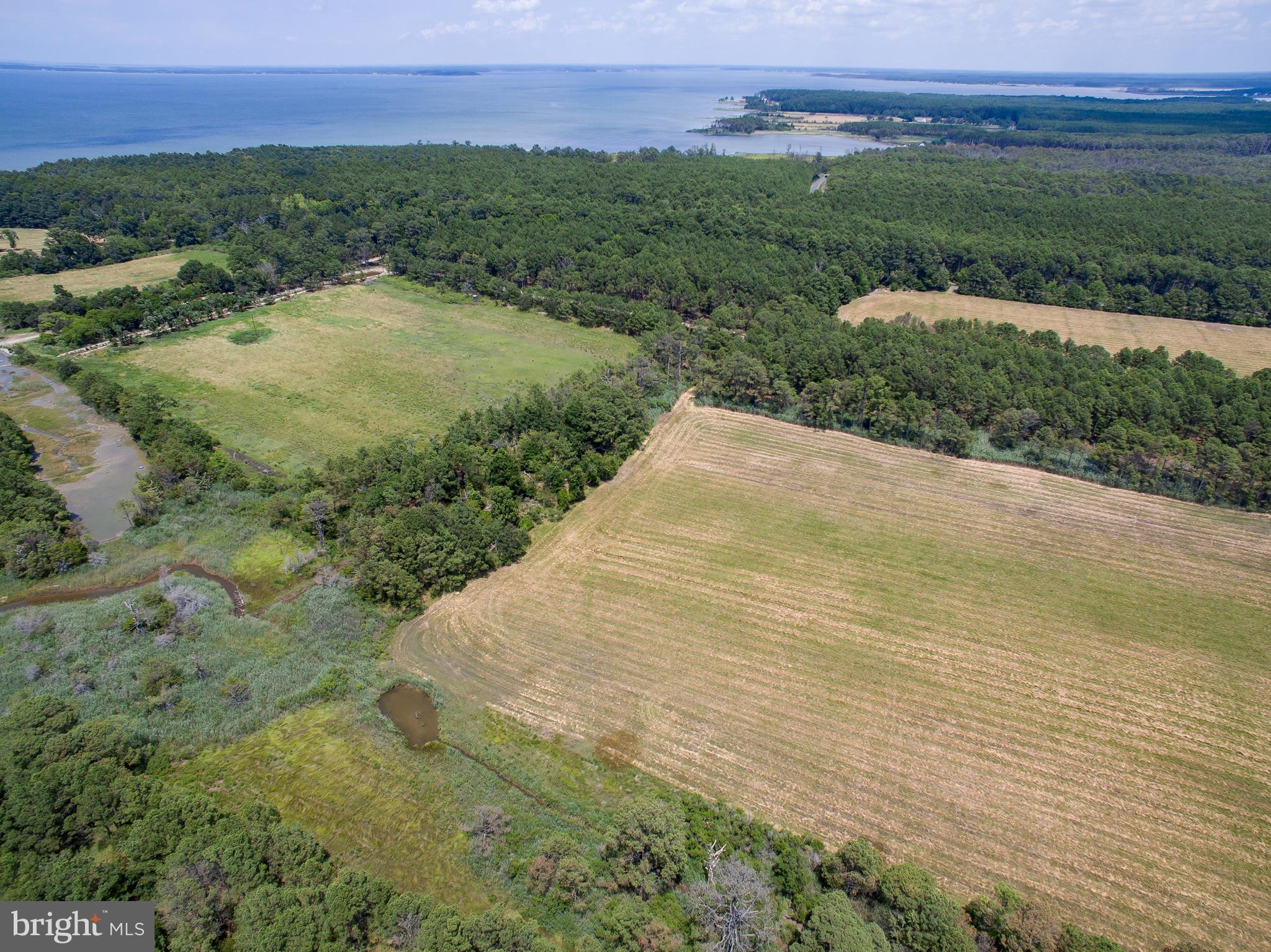 Hoopers Neck Road Taylors Island, MD 21669 - Photo 14 of 28 an aerial view of mountain with lake view