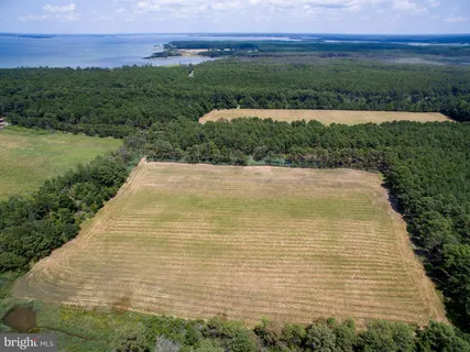 a view of a big yard with lots of green space and mountain view