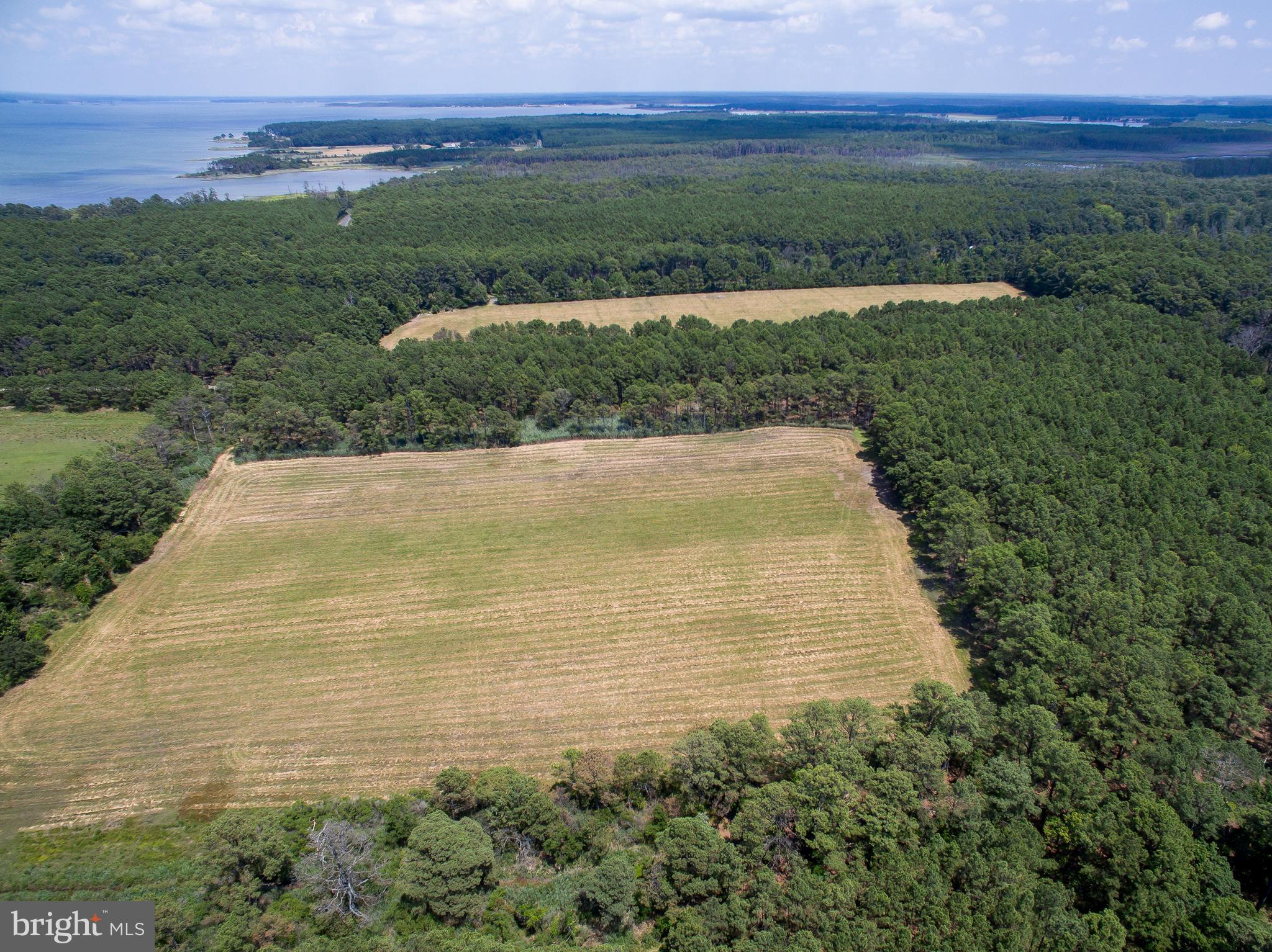 Hoopers Neck Road Taylors Island, MD 21669 - Photo 16 of 28 a view of a big yard with lots of green space and mountain view