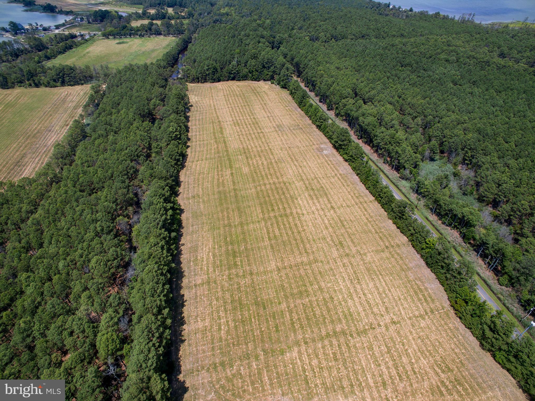 Hoopers Neck Road Taylors Island, MD 21669 - Photo 4 of 28 an aerial view of a house with a yard