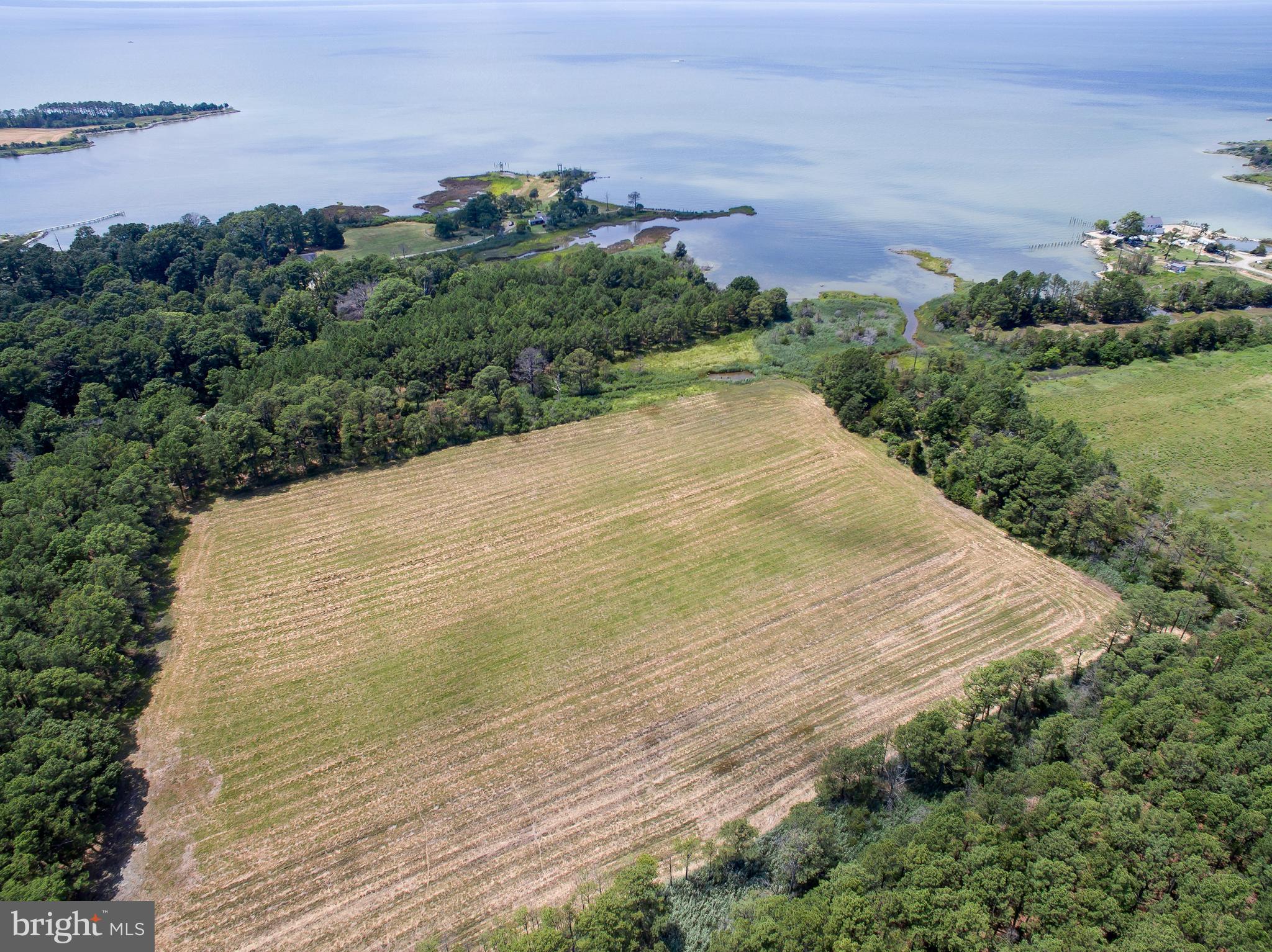Hoopers Neck Road Taylors Island, MD 21669 - Photo 6 of 28 an aerial view of a house