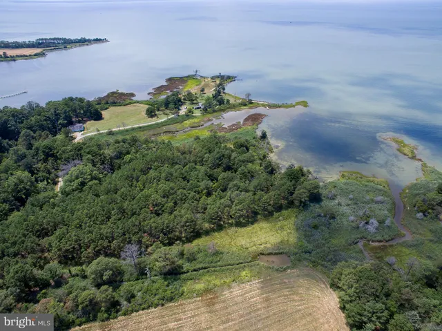 a view of a field with an ocean